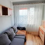 Rent 2 bedroom apartment of 49 m² in Włocławek