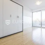 Rent 3 bedroom apartment of 124 m² in Zagreb