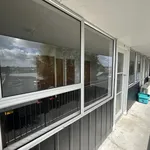 Rent 1 bedroom house in Hamilton