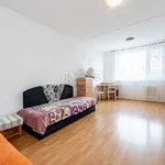 Rent 3 bedroom apartment of 71 m² in Žďár nad Sázavou