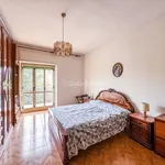 Rent 3 bedroom apartment of 65 m² in Torino