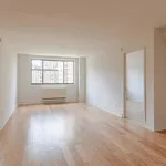 Rent 1 bedroom apartment in Manhattan