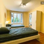 Appartement de 55 m² avec 1 chambre(s) en location à Grenoble