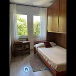 Rent 2 bedroom apartment of 85 m² in Padova