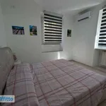 Rent 2 bedroom apartment of 50 m² in Rome