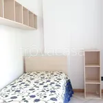 Rent 3 bedroom apartment of 60 m² in Trento