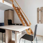 Rent 1 bedroom apartment in Brno