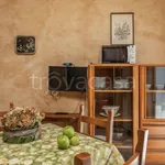 Rent 2 bedroom apartment of 40 m² in Borghetto Santo Spirito