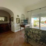 Rent 5 bedroom apartment of 180 m² in Capri