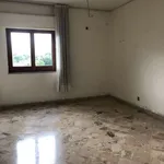 Rent 6 bedroom apartment of 165 m² in Palermo