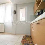 Rent 3 bedroom apartment of 88 m² in Firenze