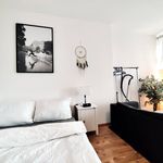 Miete 2 Schlafzimmer wohnung von 40 m² in Dresden