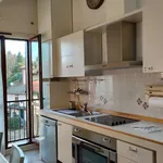 Rent 1 bedroom apartment of 55 m² in Varese