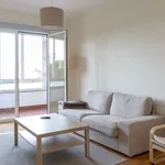 Rent a room of 200 m² in madrid