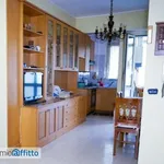 Rent 2 bedroom apartment of 56 m² in Turin