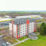 Rent 1 bedroom apartment in Plzeň