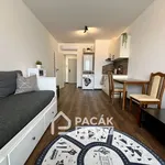 Rent 1 bedroom apartment of 33 m² in Olomouc