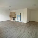 Rent 1 bedroom apartment in Plzeň