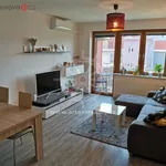 Rent 3 bedroom apartment of 74 m² in Brno