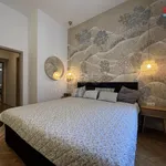 Rent 2 bedroom apartment in Capital City of Prague