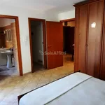 Rent 2 bedroom apartment of 50 m² in Spoltore