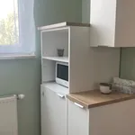 Rent 4 bedroom apartment of 75 m² in Łódź