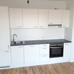 Rent 2 bedroom apartment of 49 m² in Graz