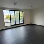 Rent 2 bedroom apartment in Rijkevorsel