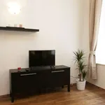 Studio o rozloze 40 m² v prague