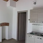 Rent 1 bedroom apartment of 25 m² in Turin