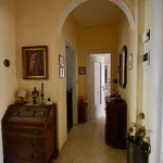 Rent 3 bedroom apartment of 110 m² in Torino