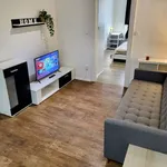 Rent 1 bedroom apartment of 45 m² in prague