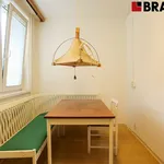 Rent 4 bedroom apartment of 115 m² in Brno