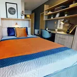 Rent 1 bedroom flat in Brighton