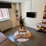 Rent 2 bedroom house of 71 m² in Jekerkwartier