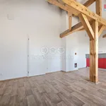 Rent 1 bedroom apartment of 39 m² in Studeněves