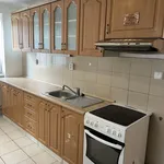 Rent 3 bedroom apartment in Plzeň