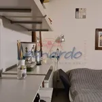 Rent 1 bedroom apartment of 45 m² in Piacenza