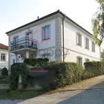 Rent 1 bedroom house of 338 m² in Prague