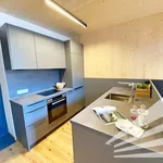 Miete 3 Schlafzimmer wohnung von 70 m² in Linz