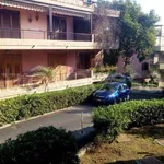 Rent 2 bedroom apartment of 62 m² in Acireale