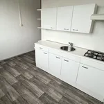 Pronajměte si 2 ložnic/e byt o rozloze 38 m² v Ostrava