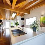 Rent 5 bedroom apartment of 144 m² in Treviso