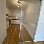 Rent 1 bedroom apartment in Wien