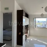 Rent 2 bedroom apartment of 45 m² in Roma