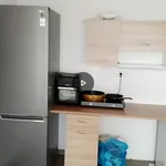 Rent 1 bedroom apartment in Praha - východ