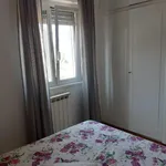 Rent 3 bedroom house of 90 m² in Roma