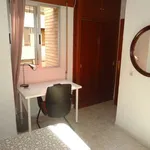 Rent a room in cordoba