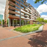 Rent 3 bedroom apartment of 97 m² in Stadsdriehoek