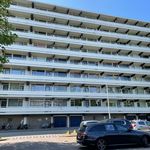 Rent 4 bedroom apartment of 96 m² in Hogewey-Noord